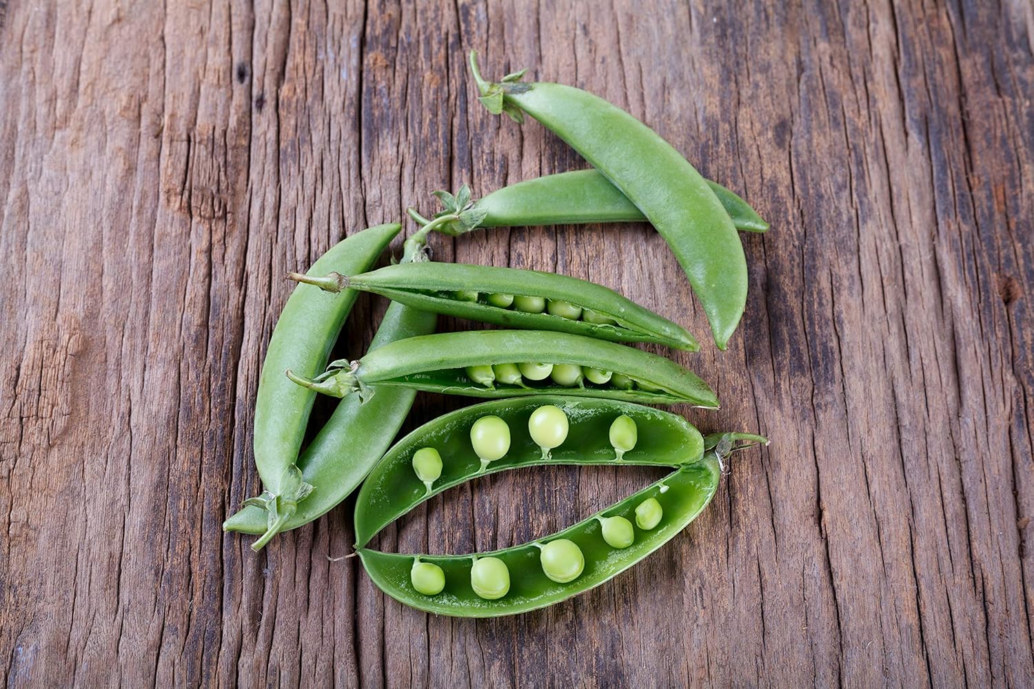 Super Sugar Snap Pea Seeds Pea Plants Garden & Outdoor