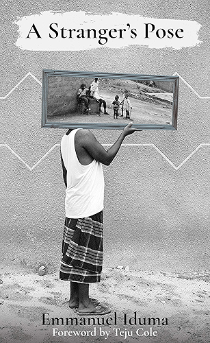 Download A Stranger's Pose (English Edition) PDF