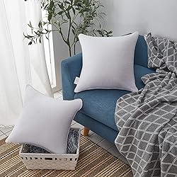Oubonun 22 x 22 Throw Pillow Inserts