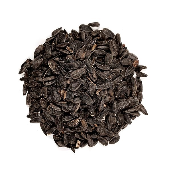 WAGNER’S 52023 BLACK OIL SUNFLOWER SEED WILD BIRD FOOD, 5-POUND BAG