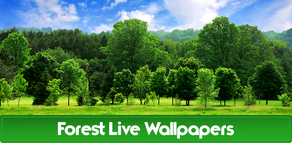 Forest Live for Android