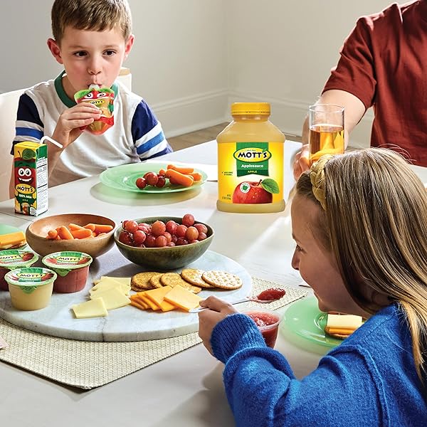 MOTT’S NO SUGAR ADDED APPLESAUCE, 23 OZ JAR