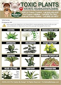 TLC Safety By Design ENHANCED TOXIC PLANTS FLOWERS TRADEMARKED Poison for Pets Dogs Cats Emergency Home Alone 5” x 7” Veterinarian Approved Refrigerator Safety Magnet (Qty. 1)