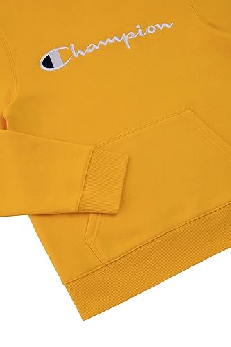 Clothing Champion Hoodie Team Gold Champion Kids Clothes