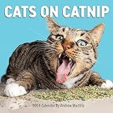 Cats on Catnip Wall Calendar 2024: A Year of Cats