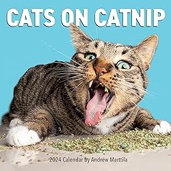 Cats on Catnip Wall Calendar 2024: A Year of Cats