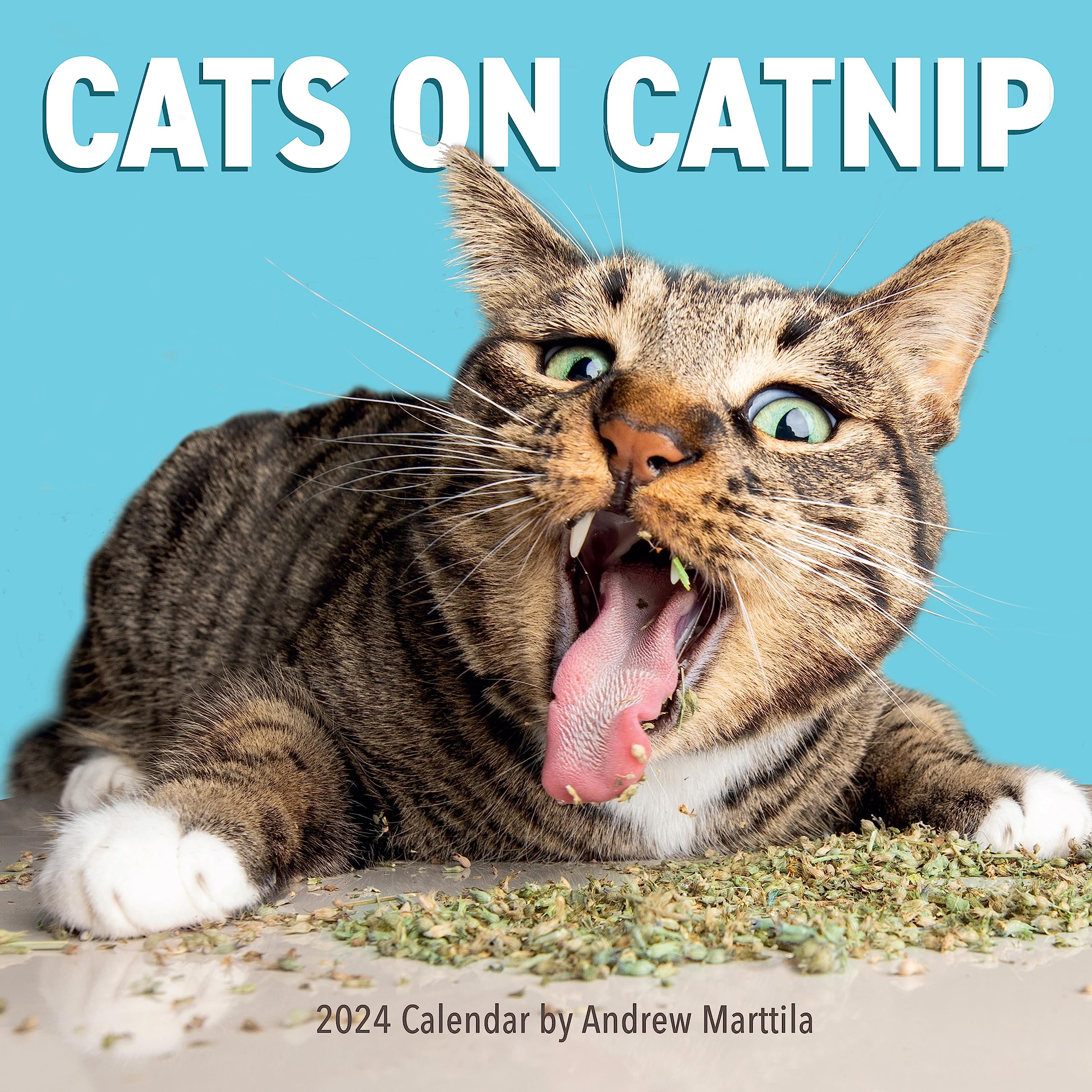 Cats on Catnip Wall Calendar 2024: A Year of Cats