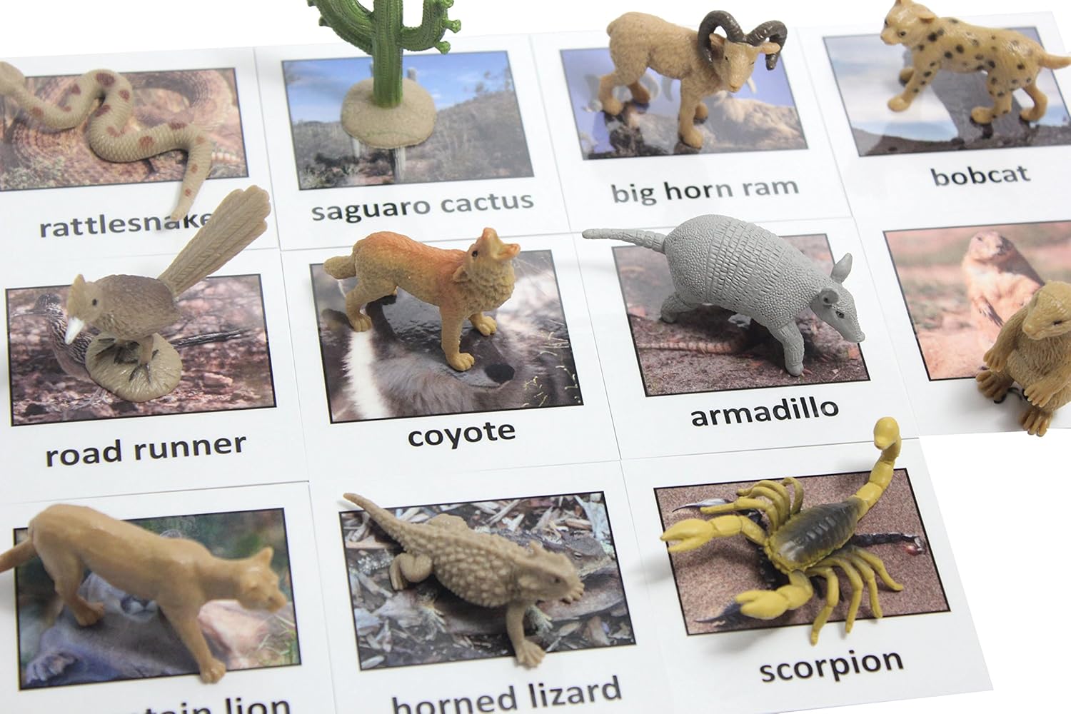 desert animal figurines