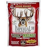 Whitetail Institute Chic Magnet Deer Food Plot Seed, WINA-100 Perennial Forage Chicory Attracts Deer and Provides Antler-Building Protein, Heat, Cold and Drought Tolerant, 3 lbs (1 Acre)