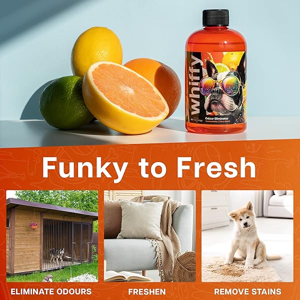 WHIFFY CITRUS PET ODOR ELIMINATOR FOR HOME, CARPETS, FURNITURE, AND MORE – USE ON DOG/CAT PEE SMELLS 8OZ CONCENTRATE BOTTLE