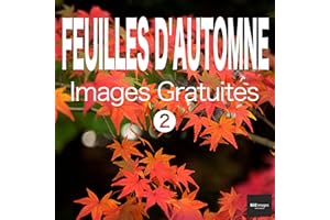 FEUILLES D'AUTOMNE Images Gratuites 2 BEIZ images - Photos Gratuites (French Edition)