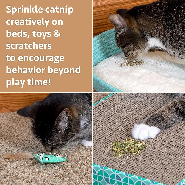 KITTY CITY CAT PREMIUM NATURAL CATNIP COLLECTION, CATNIP BAG