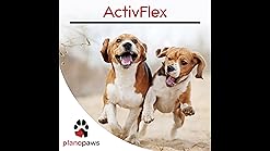 activflex for dogs