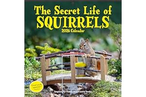 Secret Life of Squirrels Wall Calendar 2026