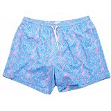 Original Printed Volley Swim Trunk 