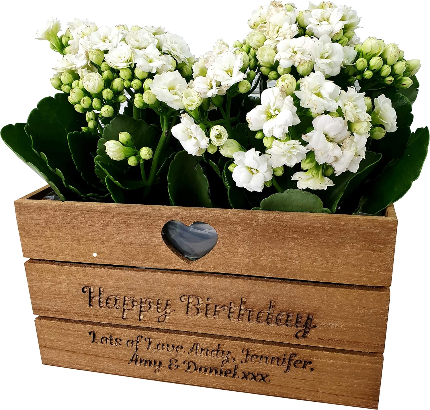 Mothers Day Gifts for Nanny Mummy, Personalised Planter Plant Pot