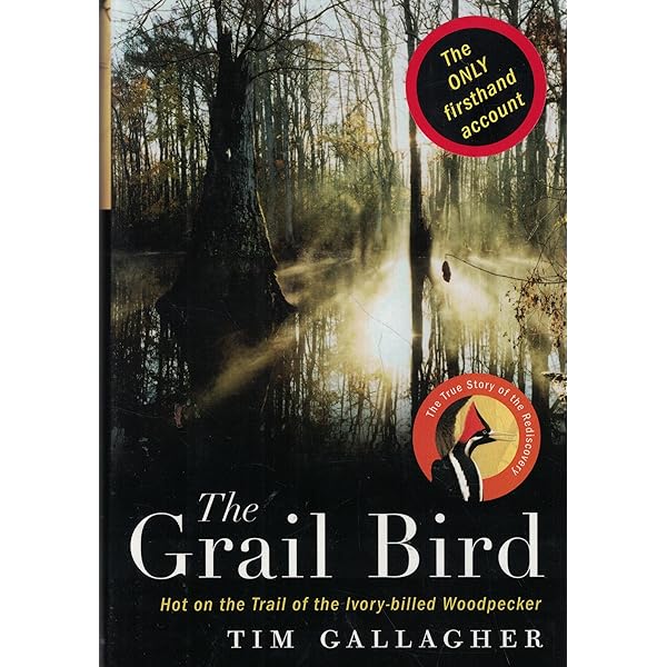 Imperial Dreams: Tracking the Imperial Woodpecker Through