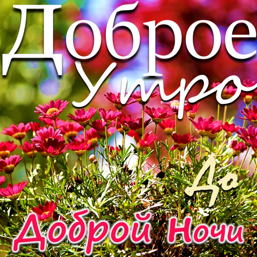 Amazon Com Russian Good Morning Good Night Wishes Messages Apps Games