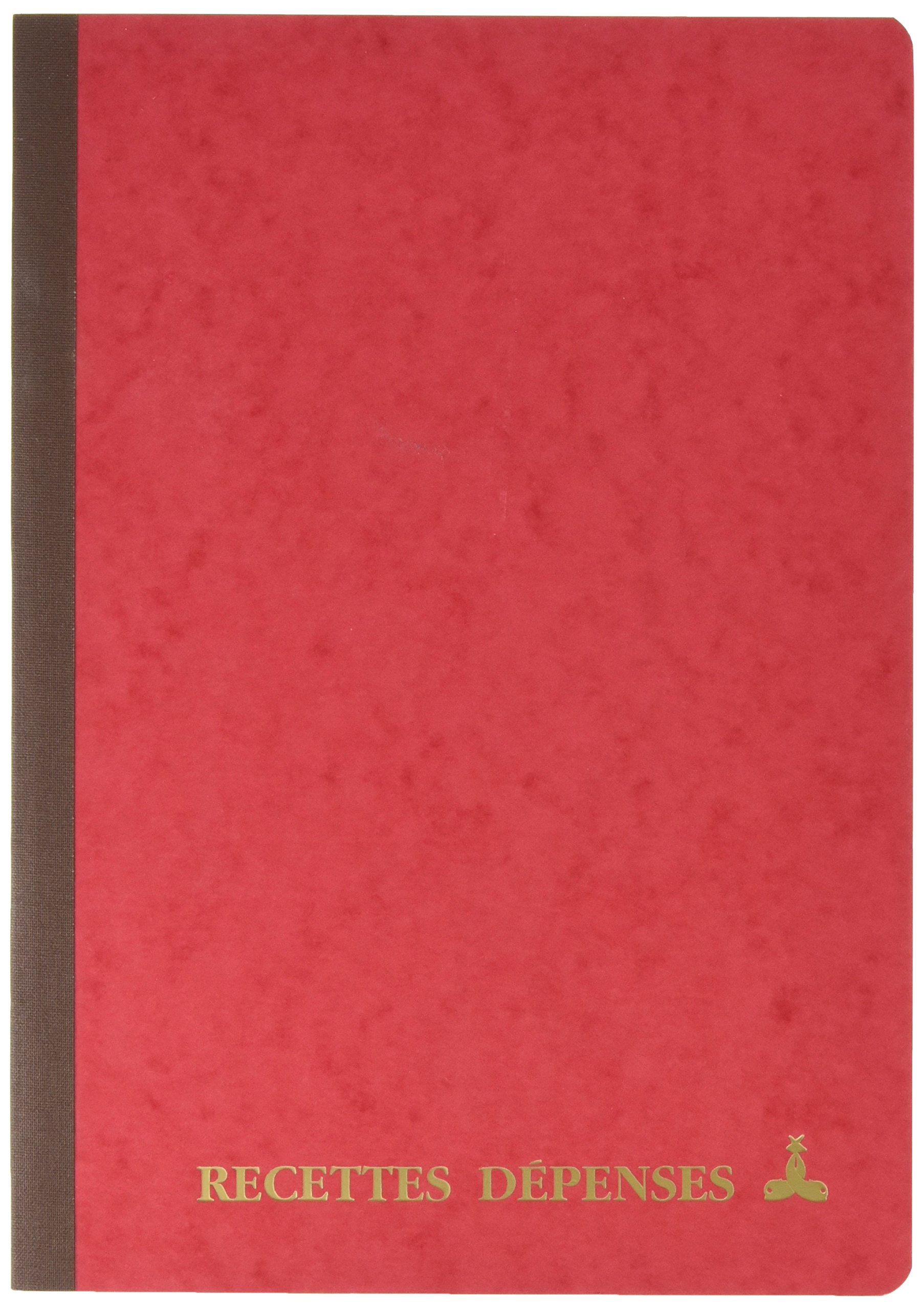 le dauphin - Ref. 3931D - 1 stitch - Dimensions 29.7 X 21 cm - A4 format - Receipts-expenses - 80 pages - Soft cover in glossy card in random colours: yellow, green, red, green