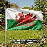 SHATCHI 5ft x 3ft Wales Welsh Dragon Flag Polyester with 2 Eyelets view 2
