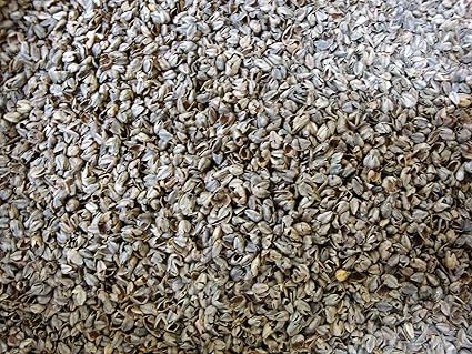 Amazon Com Loose Buckwheat Hulls Pillow Fill One Pound Arts