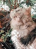 Cat Tracker RF Finder Longest Range up to 1600 ft