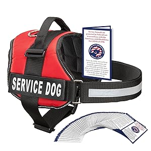 best service dog vests 2018