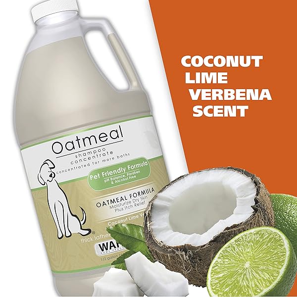 WAHL USA DRY SKIN & ITCH RELIEF PET SHAMPOO FOR DOGS – OATMEAL FORMULA WITH COCONUT LIME VERBENA – 64 OZ – MODEL 821004-050