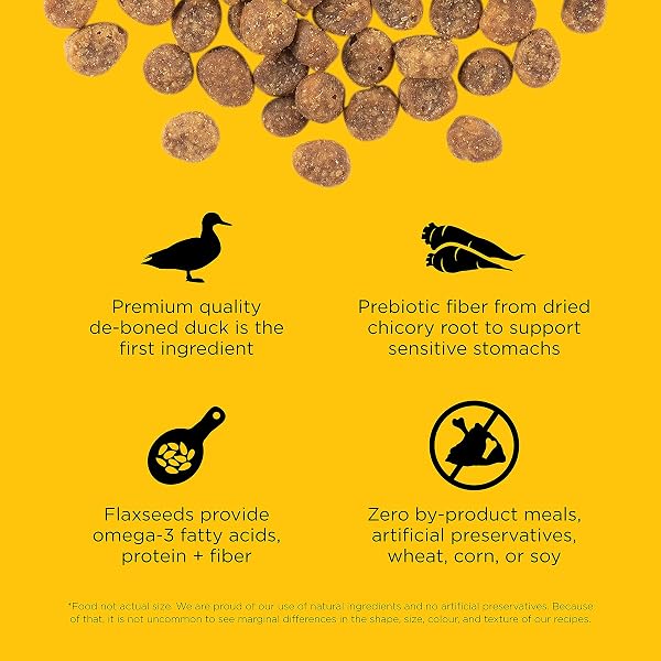 GO! SOLUTIONS SENSITIVITIES LIMITED INGREDIENT DUCK GRAIN-FREE DRY CAT FOOD, CHICKEN-FREE KIBBLE MADE BY EXPERTS FOR SENSITIVE STOMACHS & FOOD ALLERGIES, FOR KITTENS, ADULTS, & SENIORS, 3 LB BAG