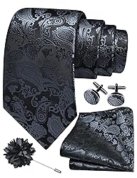 GUSLESON Mens Grey Tie for Wedding Silk Paisley
