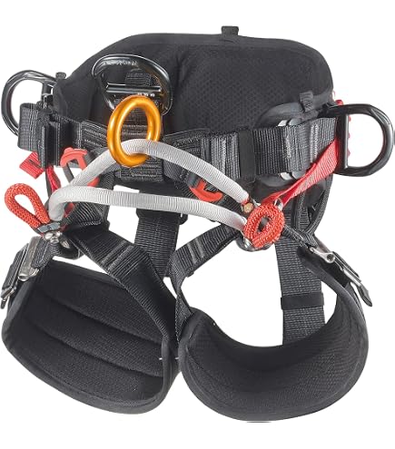 Introducing Petzl's Sequoia Plus tree care harness Introducing Petzl's Sequoia Plus tree care harness