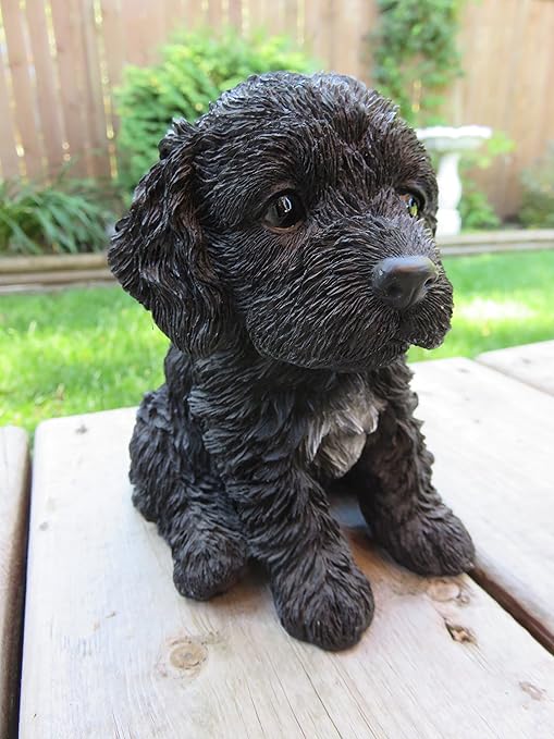 black cockapoo teddy bear