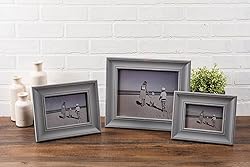 DII Distressed Wooden Picture Frame Collection