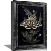 MOGIKE Vintage Moth Botanical Wall Art, Dark Moody Death Moth Canvas Print | Dark Academia Wall Decor, Gothic Witchy Art, Vintage Black Framed Wall Art for Library Study Bedroom Witchy Room - 9x11 Inch