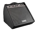 Laney Drumhub DH80 Personal Drum Monitor with