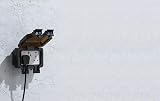 Knightsbridge OP9N Outdoor Weatherproof Double Socket IP66 Black view 6