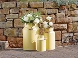 Ronseal Garden Paint Lemon Tree 750ml view 2