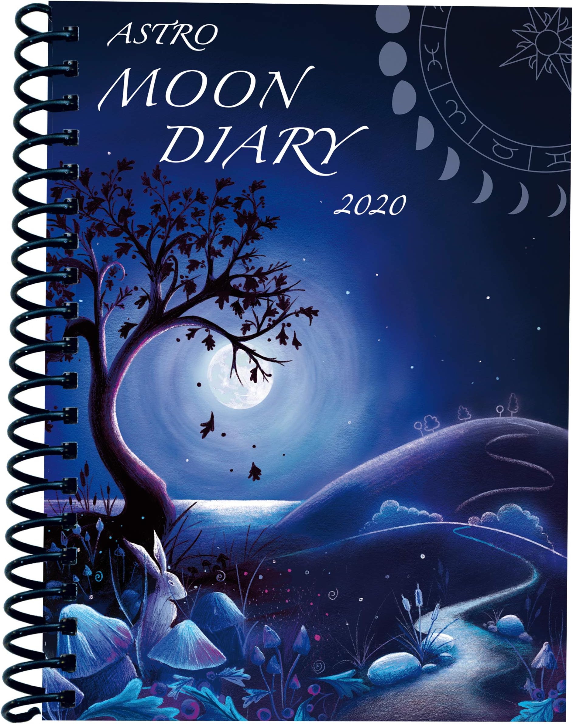 Moon Diary 2020 Datebook Calendar Personal Organiser