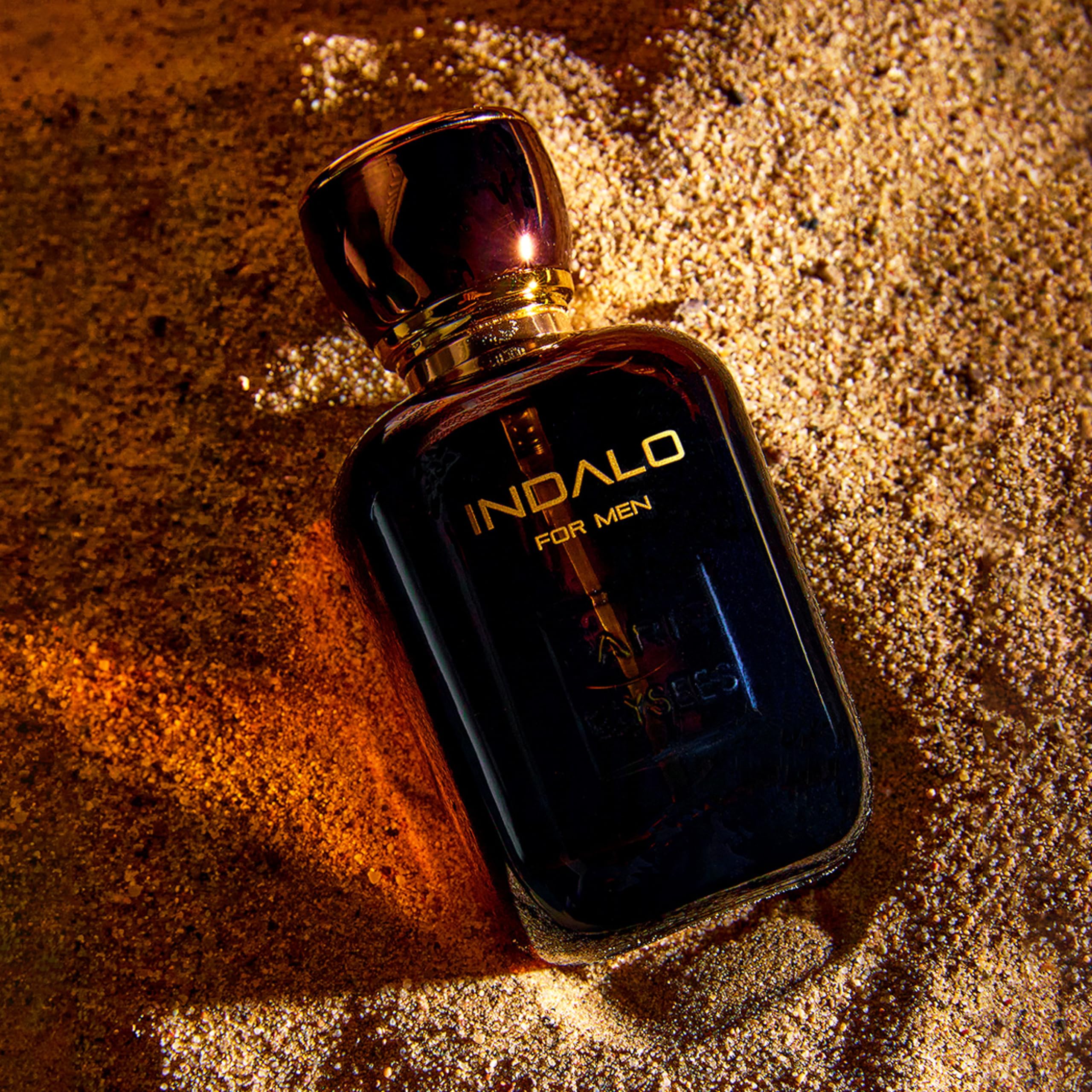 PARIS ELYSEES - Indalo - Eau de Toilette - Parfüm herren - Holzig & Würzig - Schwarzer Pfeffer, Geranie - Männerduft - Perfume men - Zerstäuber 100 ml - Inklusive nachfüllbarer 5ml - Reiseflakon 5