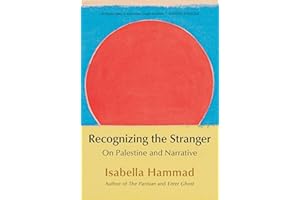 Recognizing the Stranger Paperback