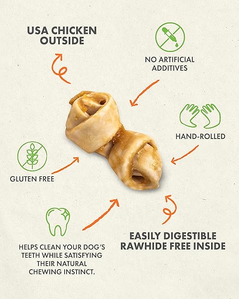 CANINE NATURALS CHICKEN RECIPE CHEW – RAWHIDE FREE DOG TREATS – MADE FROM USA RAISED CHICKEN – ALL-NATURAL AND EASILY DIGESTIBLE – 12 PACK OF MINI KNOTS FOR DOGS 5-20LB