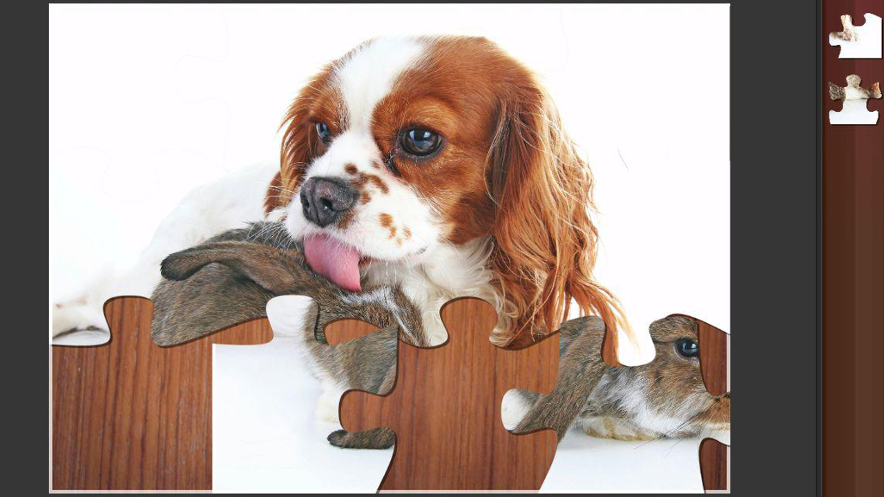 Jigsaw Puzzles Deluxe for Adults for Android