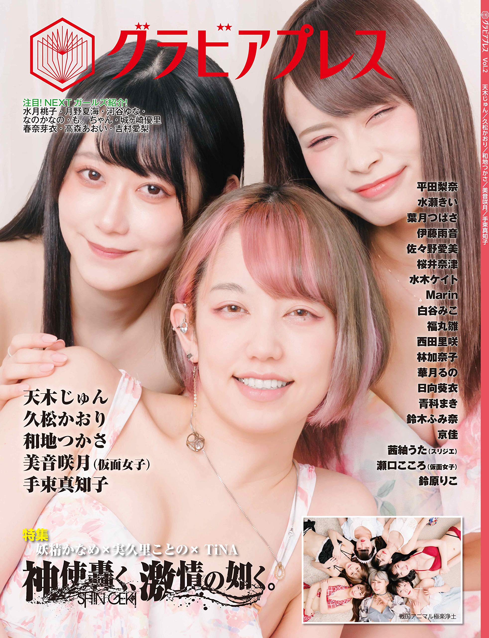 グラビアプレス Vol 2 特集 神激 戦極 実久里ことの 妖精かなめ Tina 神使轟く 激情の如く 戦国アニマル極楽浄土 先鋭vr人気作 平田梨奈ｘ水瀬きいｘ葉月つばさ Amazon Com Books