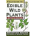 Field Guide to Edible Wild Plants