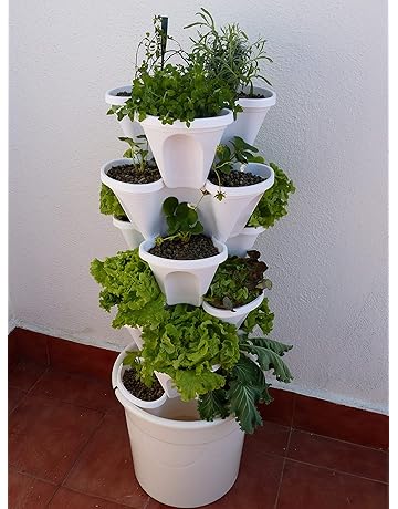 Amazon.es: Semilleros - Invernaderos y equipos de germinación: Jardín