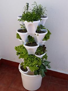 Citysens- Kit Huerto Urbano Vertical con autorriego Inteligente ...