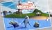 Angry Shark Simulator 3D