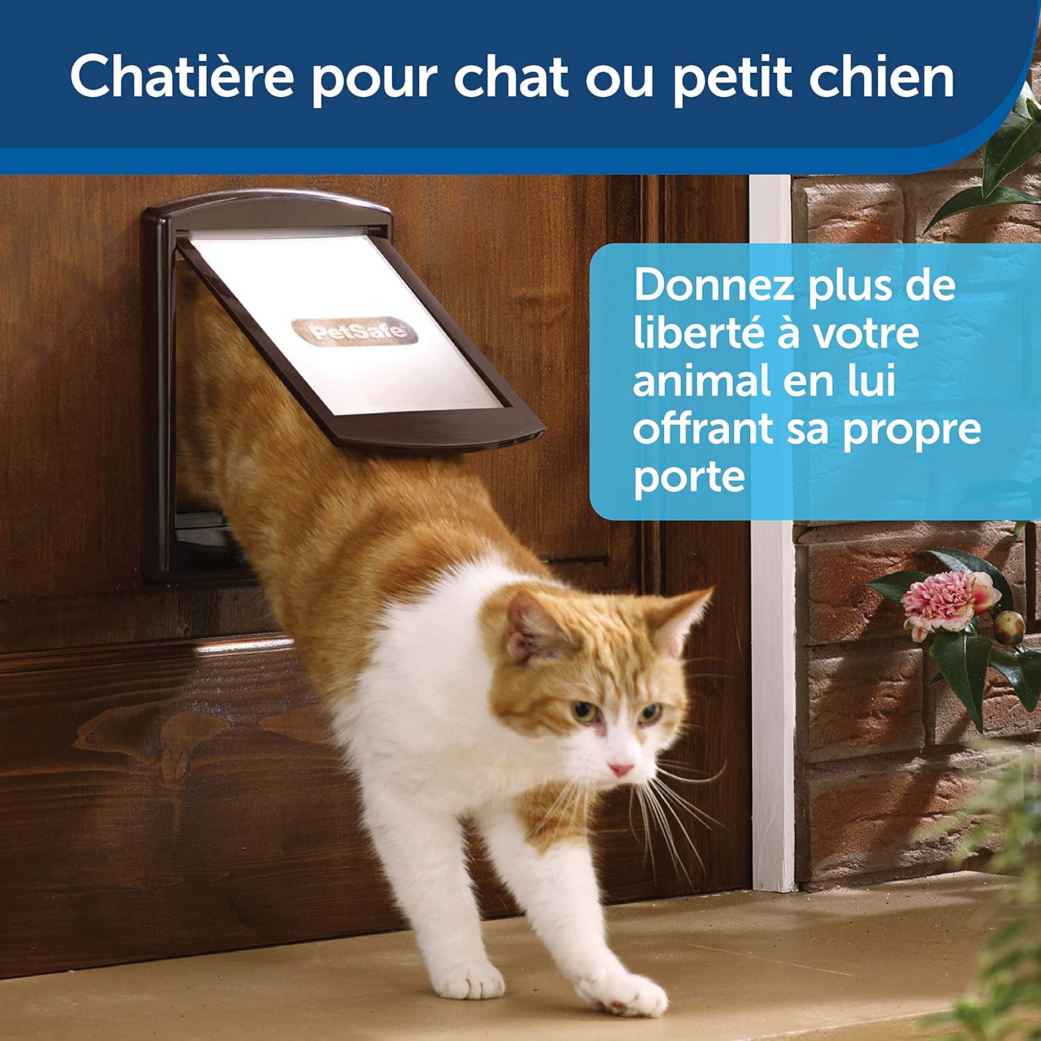 Petsafe Chatiere Pour Chien Et Chat Originale Staywell 2 Voies D Acces Entree Et Sortie Porte Pour Animaux Resistante Rigide Panneau De Fermeture Vendu Separement Brun S Amazon Fr Animalerie