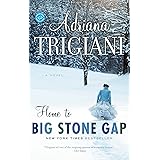 Home to Big Stone Gap: A Novel