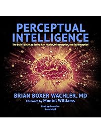 Perceptual Intelligence: The Brain&rsquo;s Secret to Seeing Past Illusion, Misperception, and Self-Deception